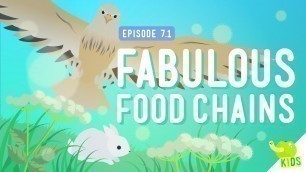 'Fabulous Food Chains: Crash Course Kids #7.1'