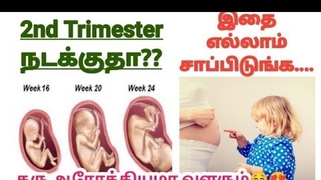 '2nd Trimester of Pregnancy || 2nd Trimester Foods ||What to eat During Second Trimester of Pregnancy'