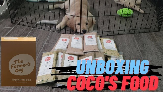 'Unboxing of CoCo\'s Food | Farmer\'s Dog Subscription | One Happy Golden Retriever Pup'