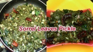 'Sorrel Leaves Pickle Recipe | Food Factory'