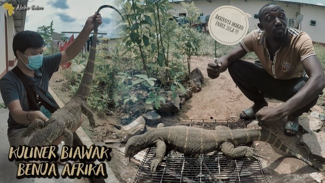 'AFRICA FOOD LIZARD/BIAWAK HUTAN AFRIKA 