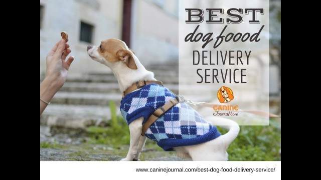 'Best Dog Food Delivery Service: PetFlow vs Chewy vs Amazon vs Ollie vs Farmers Dog vs NomNomNow'