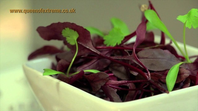 'Food glorious food In London'