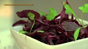 'Food glorious food In London'