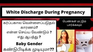 'White Discharge During Pregnancy in Tamil|Risk&Remedies|கர்ப்பகால வெள்ளைப்படுதல்|Gender prediction?'