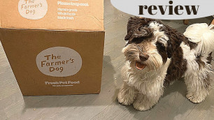 'Picky Miniature Schnauzer Puppy Tries Farmer\'s Dog Fresh Food Delivery'