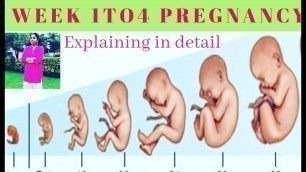 'தமிழ்|| pregnancy week 1 to  4|| Explained in tamil|| Happywomen'