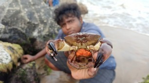 'பாறை நண்டு வேட்டை|Red Rock Crab Hunting and Cooking|Hunting Crab'