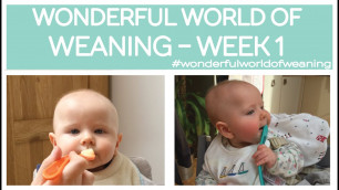 'WONDERFUL WORLD OF WEANING - WEEK 1- FIRST TASTES OF SOLID FOOD'