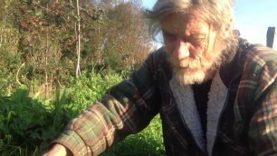 'Foraging Scottish highlands - wild food survival salad.2) sorrel,chickweed,plantain potentilla...'