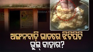 'Children Falling Ill To Food With Lizard - Sub Collector Stops Salary Of Anganwadi Worker'