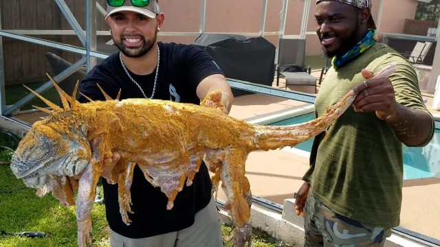 'GIANT INVASIVE IGUANA LIZARD DEEP FRIED WHOLE! *CATCH & COOK*'