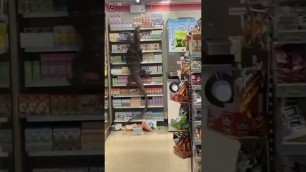 'A Sacred Giant monitor lizard found in super store in search of food.'