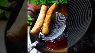 'Crispy Veg Spring Rolls/street food India #ytshortsindia'