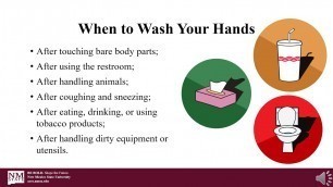 'Online Food Safety Lesson 3 Handwashing'