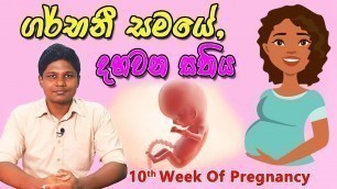 'Pregnancy 10th Week | Sinhala Medical Review | අම්මයි බබයි'