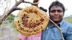 'Honey Hunting|தேன் வேட்டை எங்கள் ஊரில்|Village Food Safari|Small Boy Suppu'