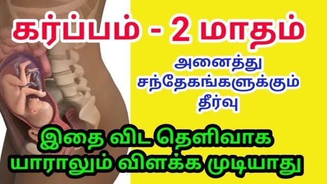 'Pregnancy in tamil | pregnancy dos and don\'ts| pregnancy week by week in tamil | pregnancy food-2'