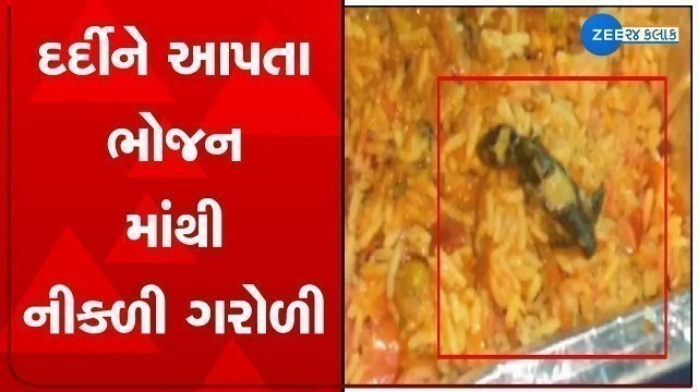 'Gandhinagar Civil Hospital Big News: Lizard In Food Served To Patients In Hospitals | Gujarat News'