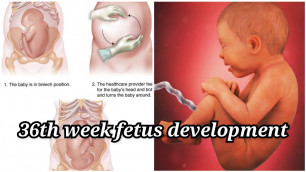 '#weekbyweekpregnancy#tamil 36th week fetus development in tamil | pregnancy series #50'