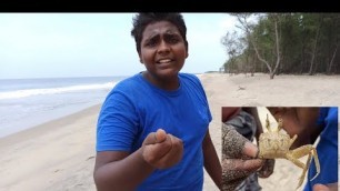 'பறக்கும் நண்டு வேட்டை|Flying Crab Hunting|Village Food Safari'