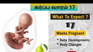 'கர்ப்ப வாரம்17 | 17 Weeks Pregnancy in Tamil | What To Expect in Tamil | Mee Mee Vlogs.'