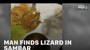 'Viral Video: Man Finds Lizard In Sambar At Top Delhi Restaurant | NDTV Beeps'