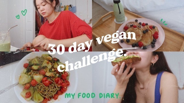 'FOOD DIARIES | my 30 day vegan challenge pt.1 