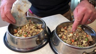 '30-Day Fresh Dog Food Challenge - Feeding Time'