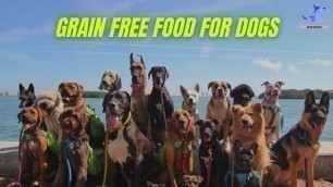 'Best Healthy Dog Food | Natural Grain Free Healthiest Dog Food Brands'