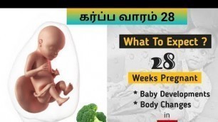 'கர்ப்ப வாரம் 28 | 28 Weeks Pregnancy in Tamil | What To Expect in Tamil | Mee Mee Vlogs.'