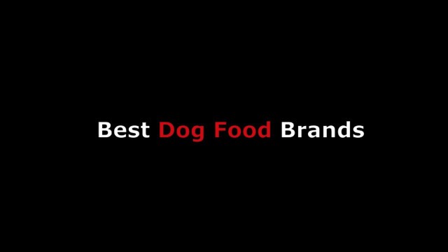 Best Dog Food Brands For Puppies & Senior Dogs From Top Rated Dry Natural to Wet Organic Canned