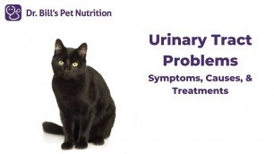 'Urinary Tract Problems | Symptoms & Causes | Dr. Bill\'s Pet Nutrition'