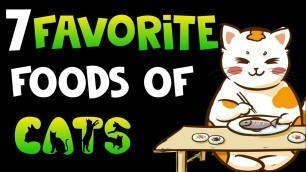 '7 favourite foods of cats | Human\'s food ,cats loves to eat'