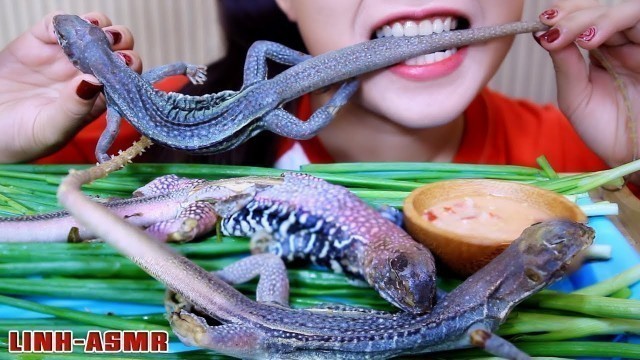 'ASMR STEAMED SAND IGUANA (EXOTIC FOOD eating sounds)|LINH-ASMR'