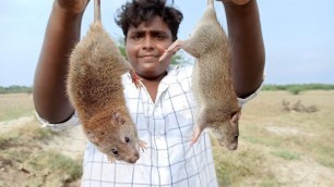 'Rat Hunting|எலி வேட்டை|Rat 65|எலி 65|Village Rat Hunting|Village Food Safari'