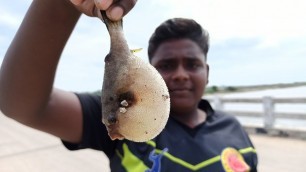 'சுருக்கு வலை மீன் பிடித்தல்|Throwing Net Fish Catching|Small Boy Suppu|Village Food Safari'