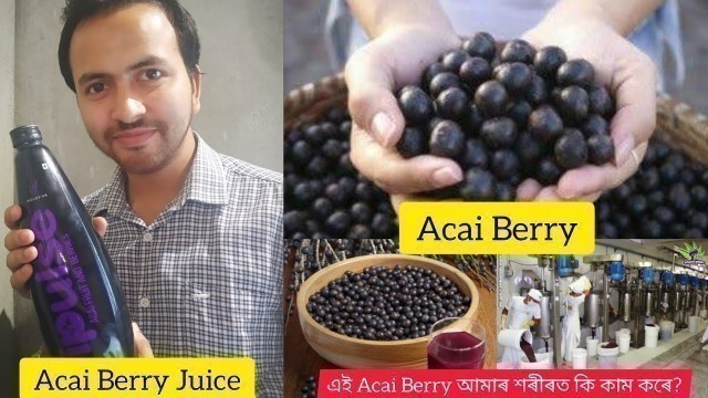 Acai Berry Super Fruit/High Antioxidant/কেনেকৈ পাব এই Acai Berry'ৰ গুণ? কিয় জৰুৰী আমাৰ শৰীৰৰ কাৰনে?