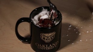 'Oakland Hacks: Dorm Cooking'