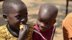 'Let food be thy medicine: how three CIP scientists fought blindness using orange-fleshed sweetpotat'