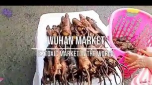 'Wuhan Meat Market - Hell on Earth!'