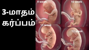 '3 Month of Pregnancy in Tamil | 3rd month baby development in tamil | Month 3 | 3 months pregnant'