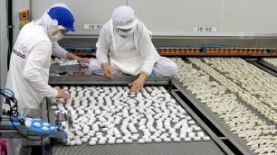 'Process of making dumplings by 170 employees. South Korean dumpling factory'