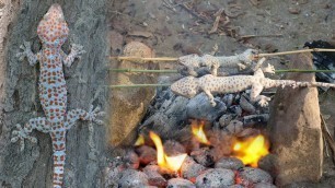 'Unbelievable! Found Gecko Lizard in Forest -  Cooking Gecko Eating Delicious'