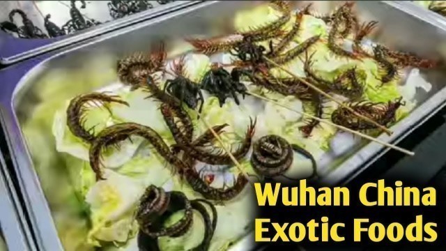 'Exotic Foods (Video Footage) Wuhan China'