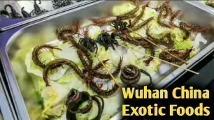 'Exotic Foods (Video Footage) Wuhan China'