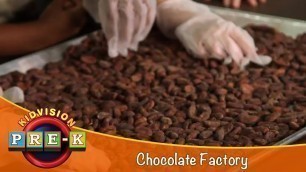 'How Chocolate is Made | Chocolate Factory Field Trip | KidVision Pre-K'