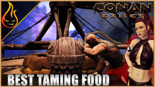 'Best Food For Taming Thrall Conan Exiles 2020'