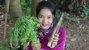 'Awesome Cooking Moringa Leaves With Sweet Leaf Bush Delicious - Cook Recipes - Village Food Factory'