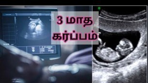 '3 மாதம் கர்ப்பம், Third month of pregnancy in Tamil'